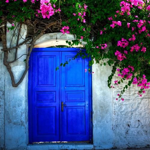 Traditional Doors